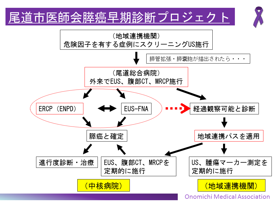 ガイドライン 膵癌 膵癌診療ガイドライン2019 一部改定